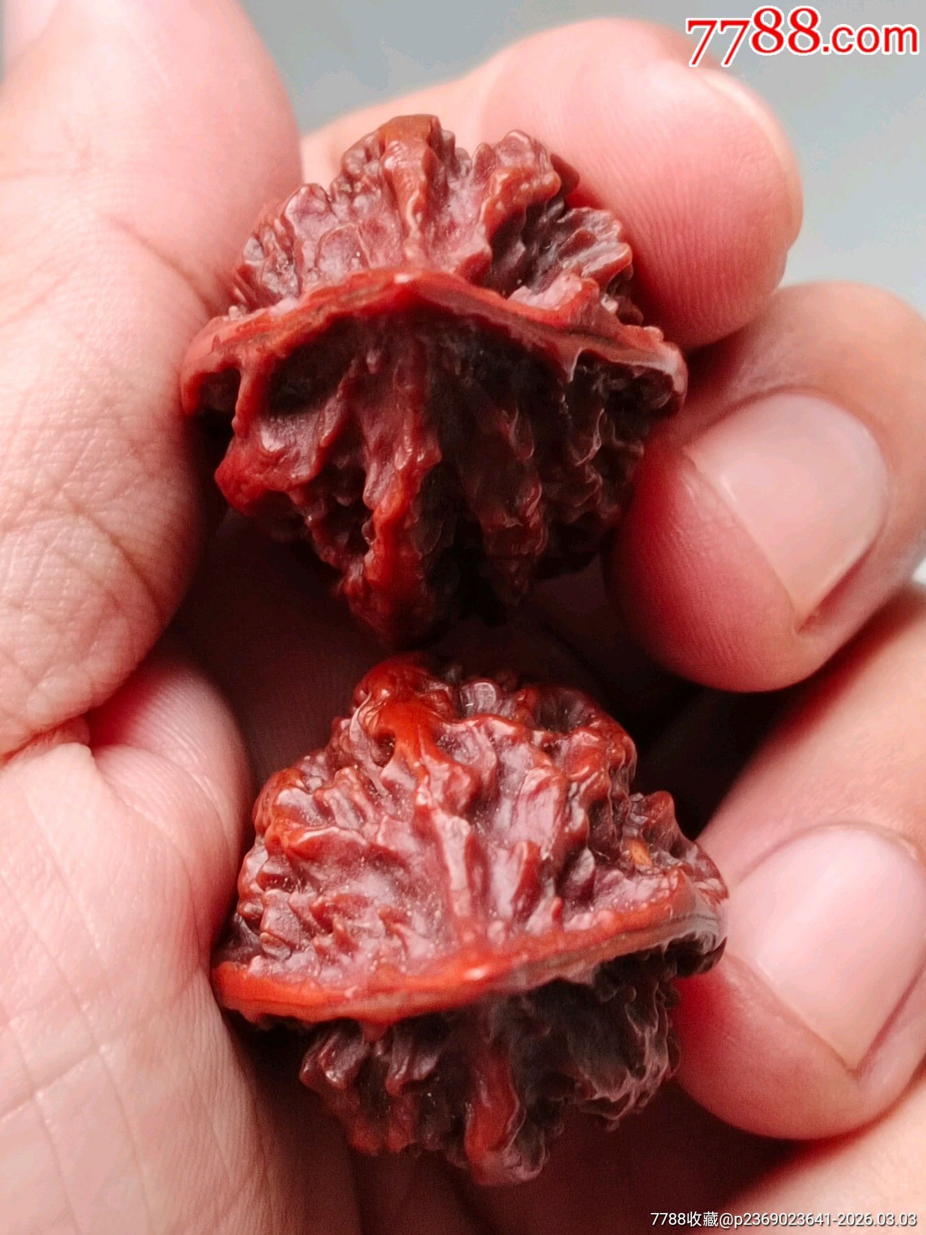 7382cbc10d863ada8141e6e112630eb3