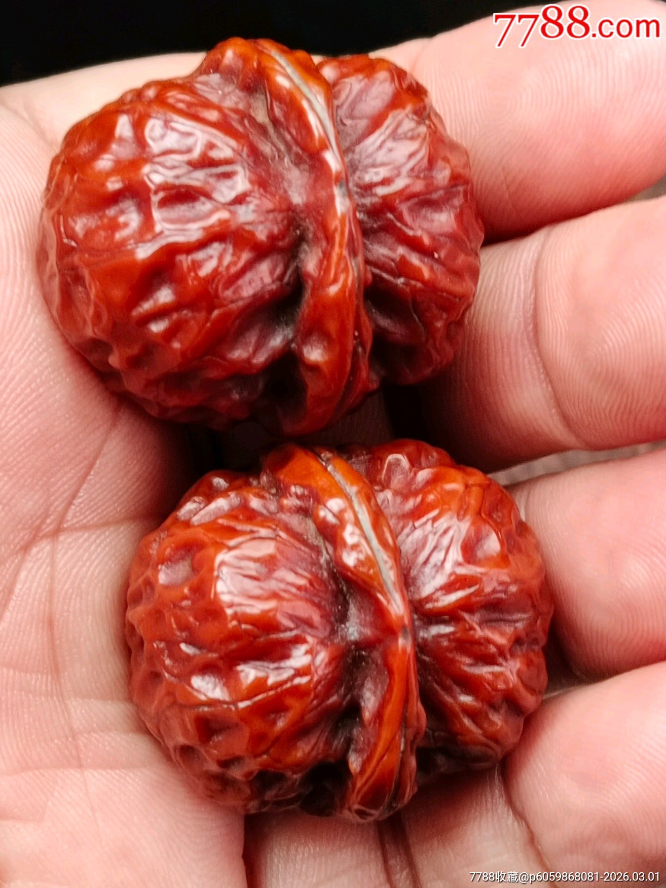 e11242bf039b494645a79563e7bf8efd