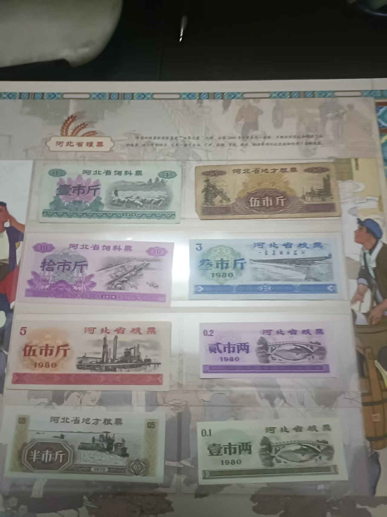 微信图片_2026-03-07_122602_724