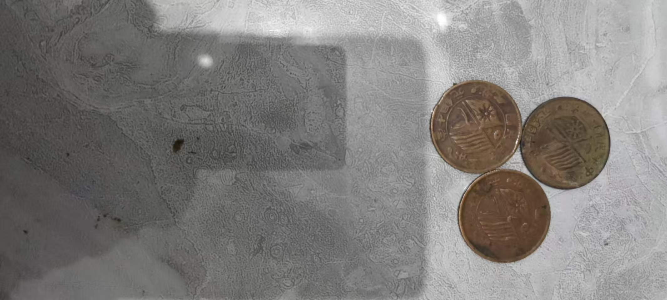 100112张正华古币