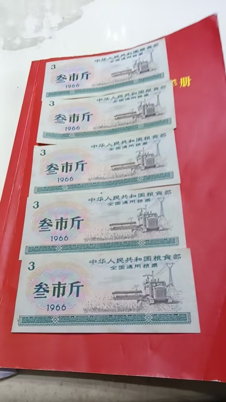 110108石寿仁粮票