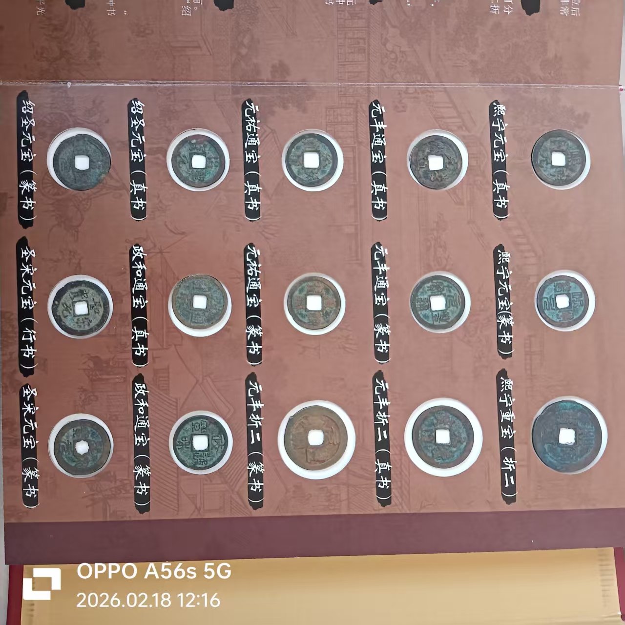 110113何勇斌钱币