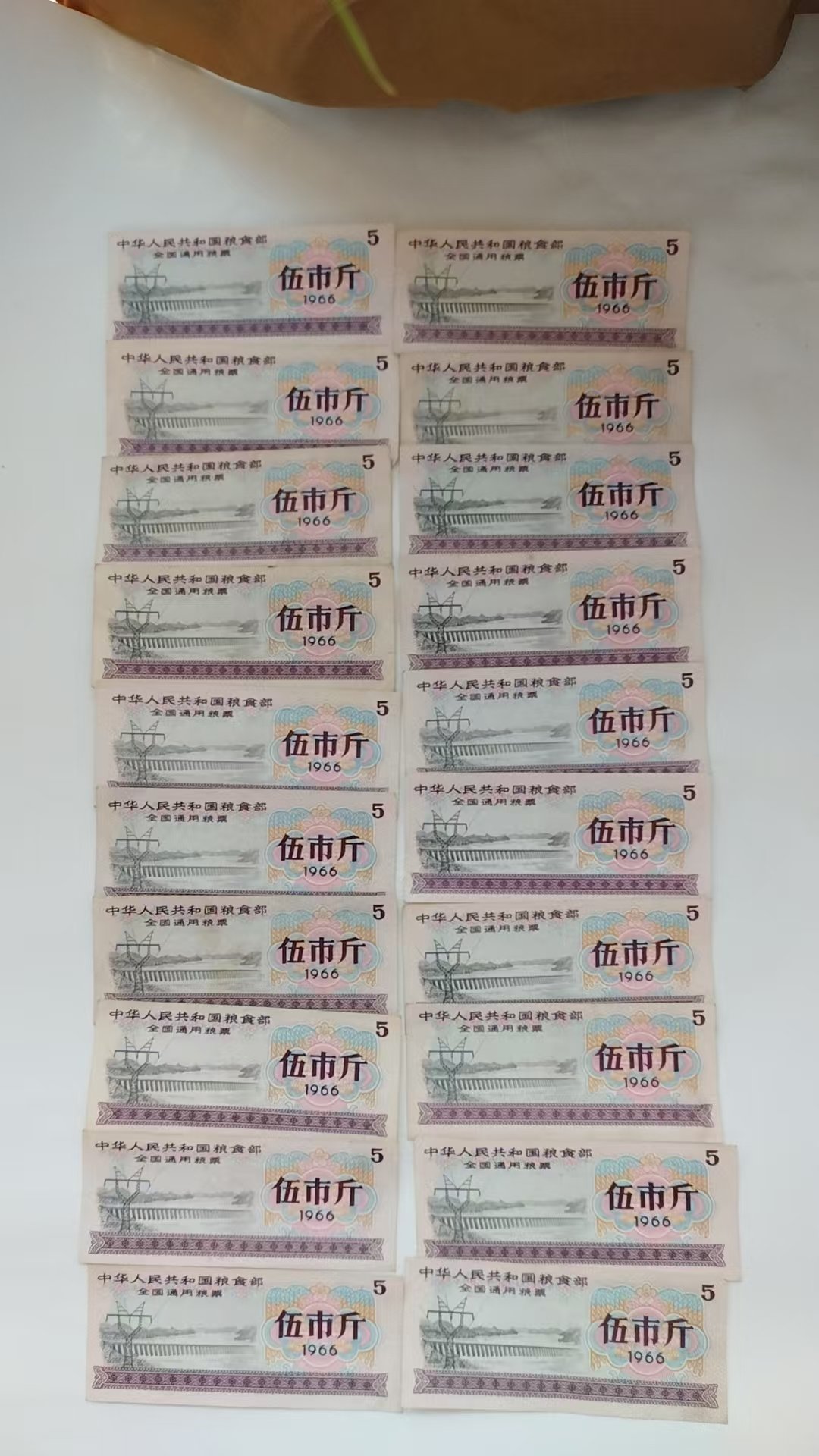 110133郭女士粮票