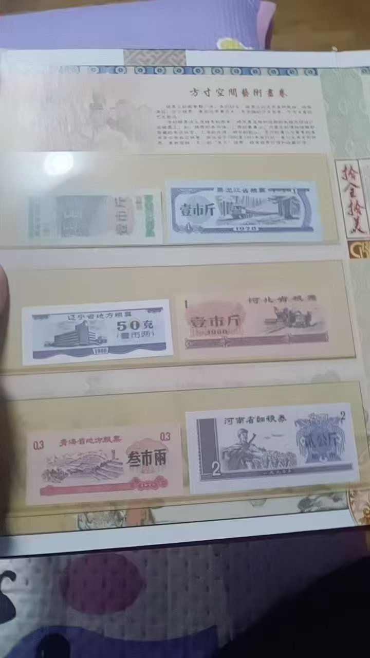 110155李绍波粮票