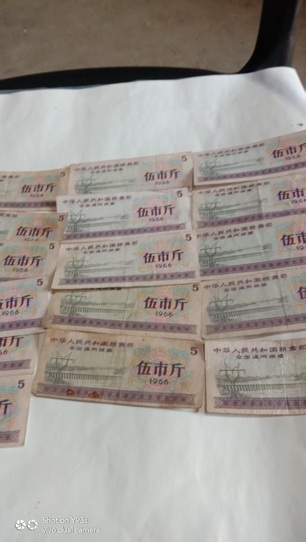 110166刘素群粮票