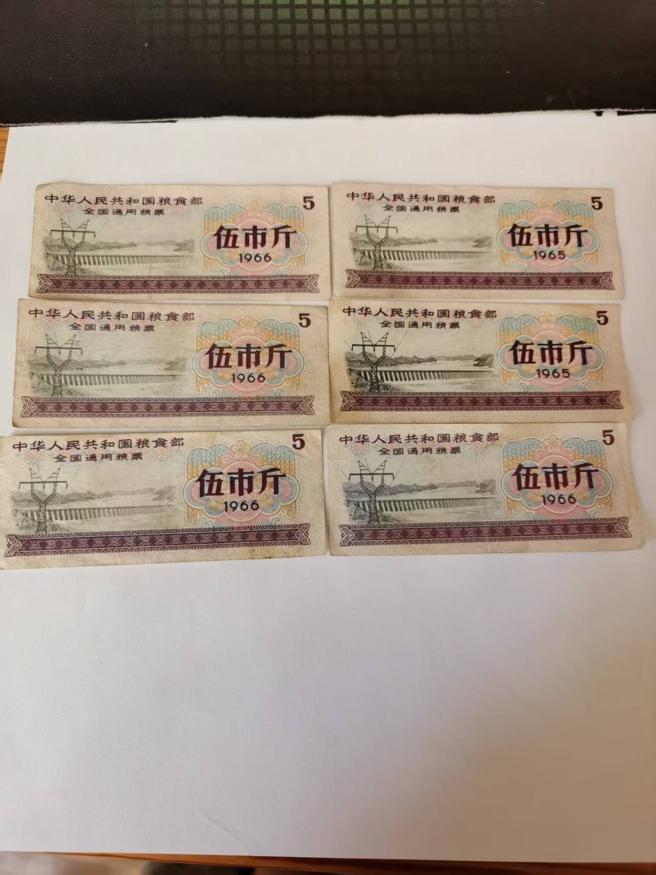 120110潘生生粮票