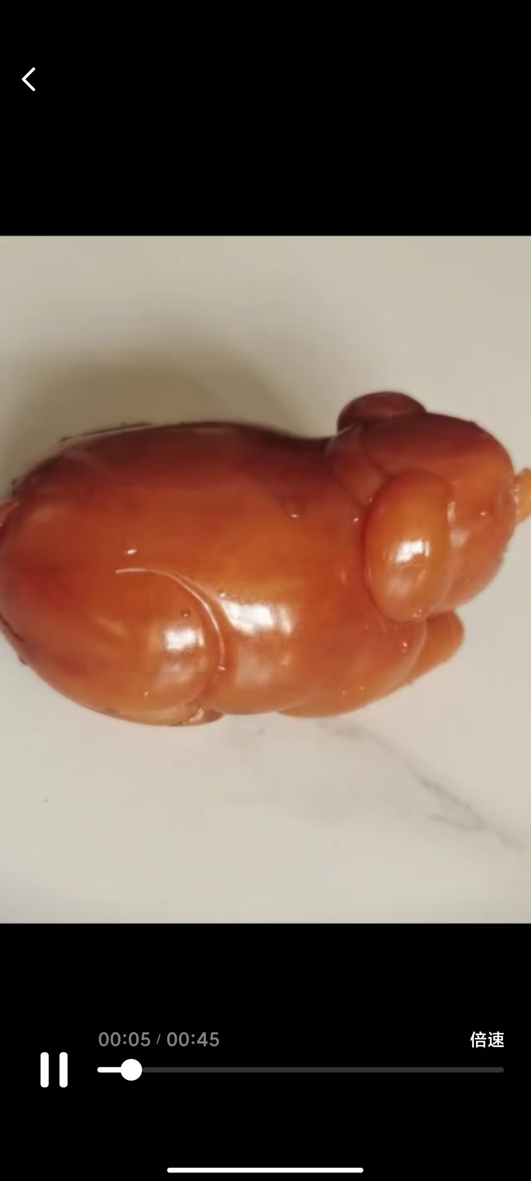 120147万九鸽工艺品